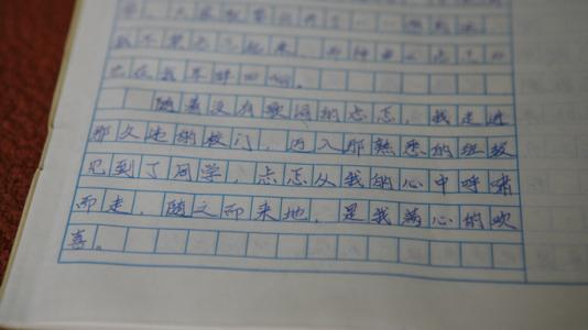 [微妙]可爱的小兔子_300字