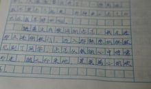 【微作文】可爱的小兔子_300字