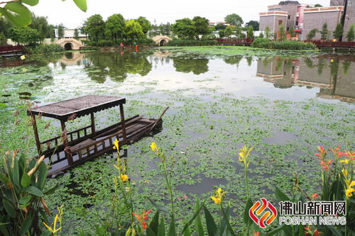 顺德美_450字