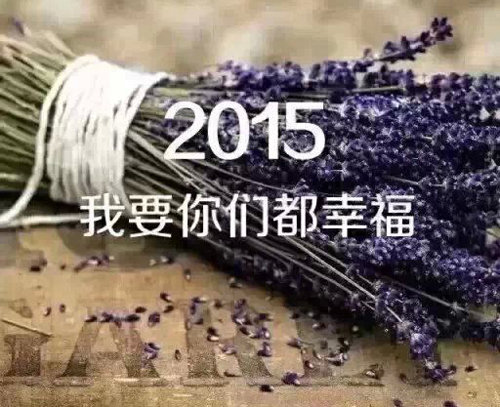 [2015年新年愿望]食物？ _1500字