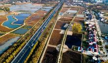 [2015新年心愿]2015向阳_900字