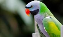 寒冬的夜晚_650字