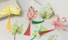 初一状物作文：我心爱的枫叶书签_650字