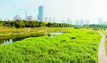 春天的水景公园_600字