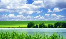 迷人的夏天_450字