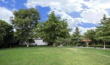 人类生存史 第六章：万龙焚天_3000字