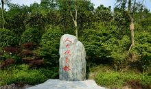 美丽的龙头寺公园_700字