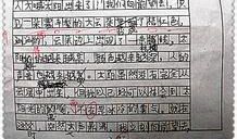 美丽的漯河_450字