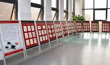 校园的一角——鲤鱼池_300字