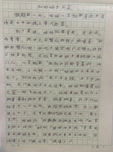 园丁型号_350字