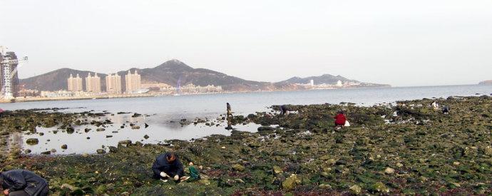 美丽的海滩 - 黑色摇滚礁_400字