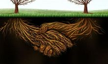 绿色正能量_600字