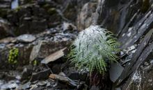 人类，请高抬贵手_700字