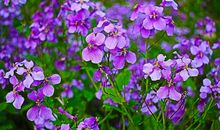 春天的郊外_400字