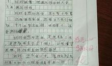 兰兰，我想对你说_700字