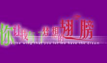 梦想的翅膀_750字