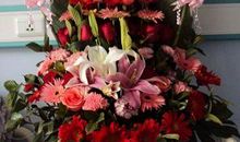 谁把春天带来了_750字