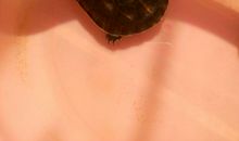 刀锋偏冷(8)无待蓍龟_3000字