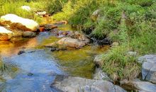 家乡的小溪_450字