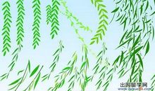 初一状物作文：柳树_650字