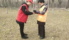 三月?雷锋月_450字