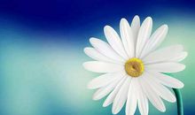 网络让我们的生活更智慧_700字