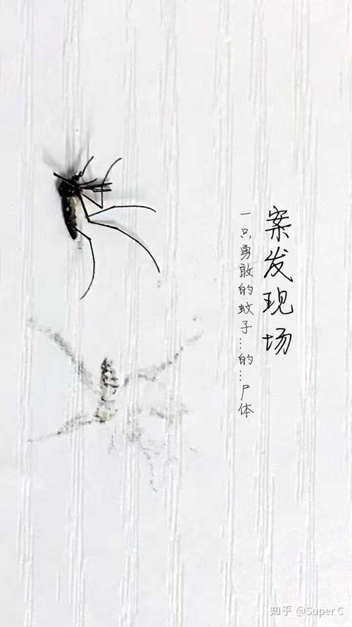 蚊子，我想告诉你_250字