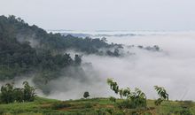 关于晨雾的作文900字_800字