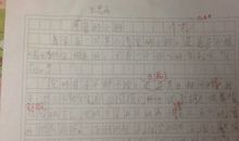 【微作文】可爱的小狗_100字