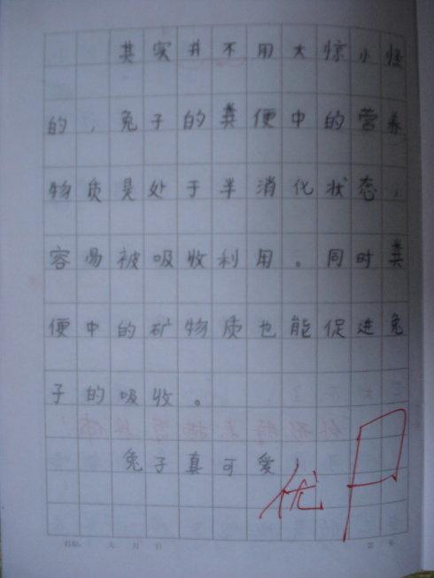 [微妙]可爱的小兔子_150字