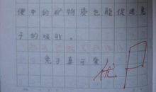 【微作文】可爱的小兔子_150字