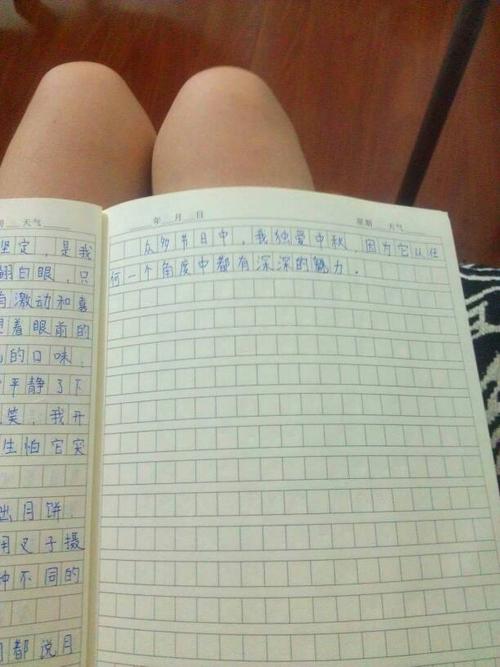 [微妙]月亮_200字