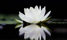 若有来世（第二章）_500字