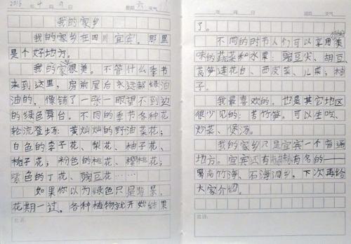 [微型文本]家乡的夏天_50字