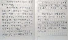 【微作文】家乡的夏天_50字