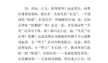 四年级写景作文：秋天的田野_450字