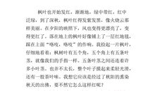 四年级写景作文：寻找秋姑娘_550字