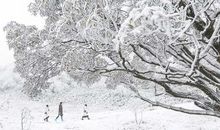 冰雪王国金佛山_650字