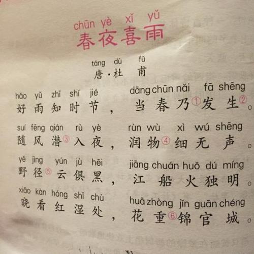 春节雨_400字