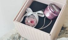 朝暮之花会开放（二）_550字