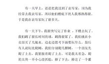 如梦似幻（一）_450字