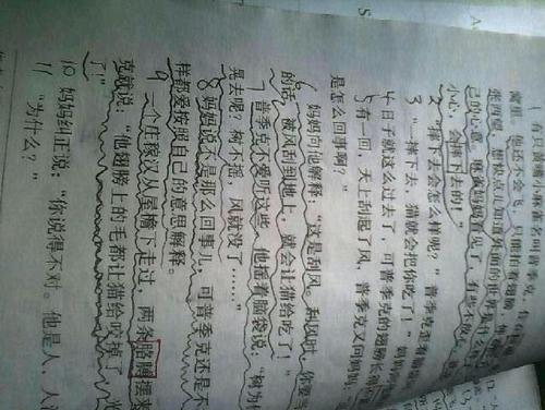 [微型]苍蝇_150字