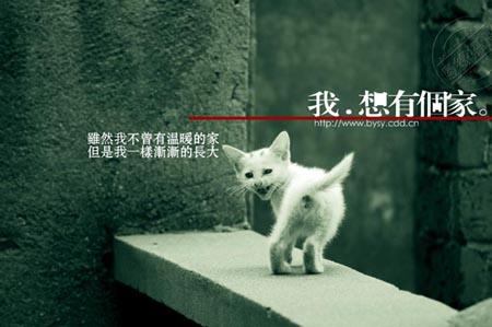 我想拥有一个家_750字