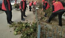 学雷锋树新风_900字