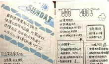 抄袭的滋味_750字