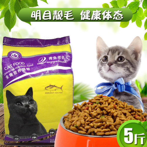 给陈博博的一封信：最难忘的东西，猫_600字