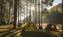 再见，最后的冒险童年_3000字