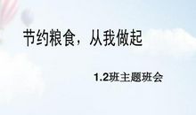 节约粮食，从我做起_650字