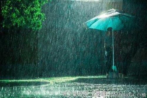 关于雨夜的思考_1200字