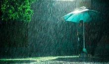 那个雨夜的思考_1200字